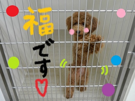 DSCN5845.jpg