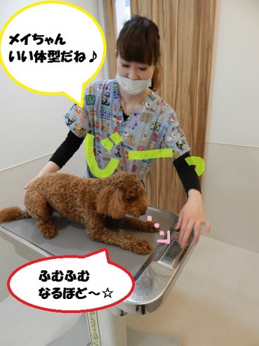 DSCN6100.jpg