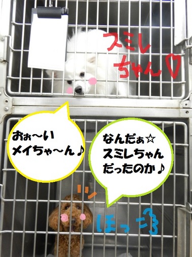 DSCN6112.jpg