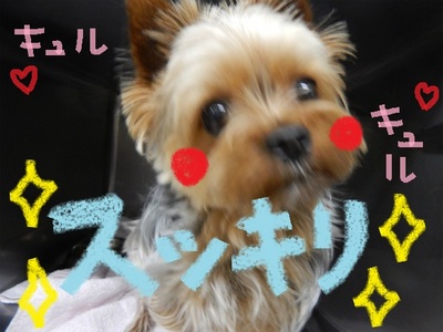 DSCN6196.jpg