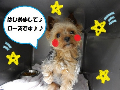 DSCN6197.jpg