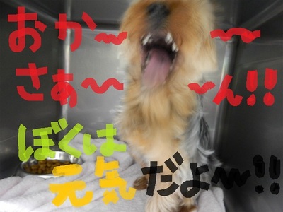 DSCN6216.jpg