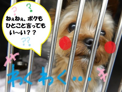 DSCN6219.jpg