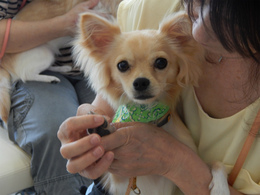DSCN1758.jpg