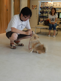 DSCN1931.jpg