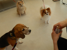 DSCN2108.jpg
