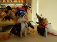DSCN2615.jpg