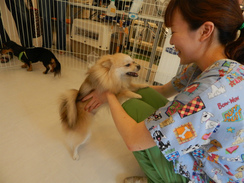 DSCN2691.jpg