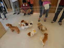 DSCN2707.jpg