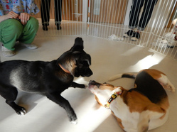 DSCN3618.jpg