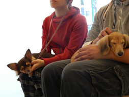DSCN3626.jpg