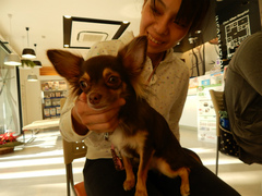 DSCN3853.jpg