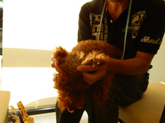 DSCN3879.jpg
