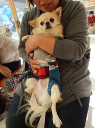 DSCN3885.jpg