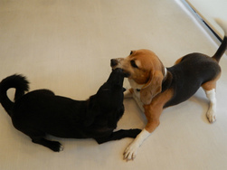DSCN3939.jpg