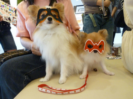 P1220100.jpg