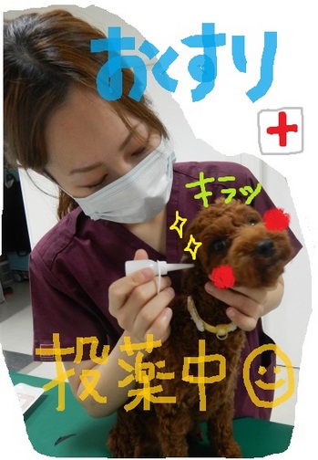DSCN6674.jpg