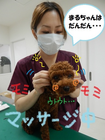 DSCN6675.jpg