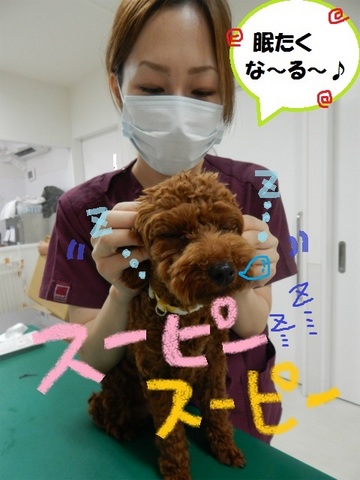 DSCN6676.jpg
