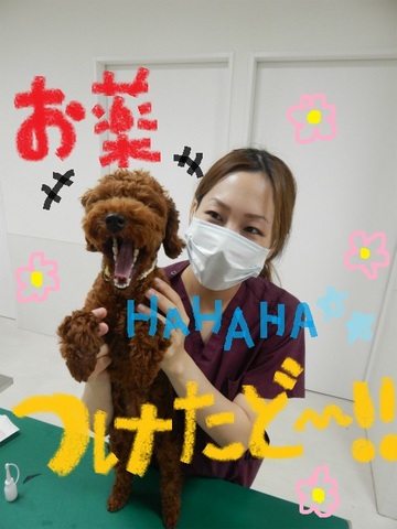DSCN6678.jpg