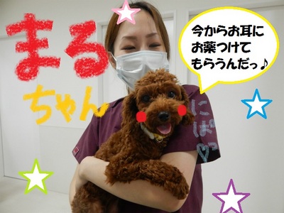 DSCN6679.jpg