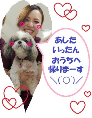 DSCN6693.jpg
