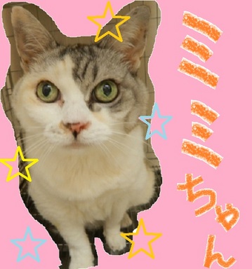 DSCN6800.jpg