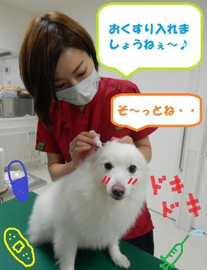 DSCN6803.jpg