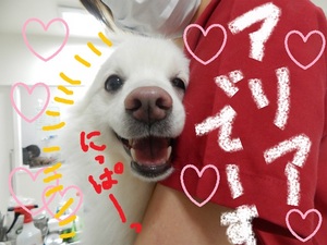 DSCN6814.jpg