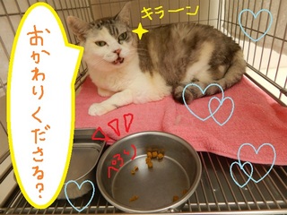 DSCN6815.jpg