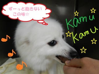 DSCN6849.jpg