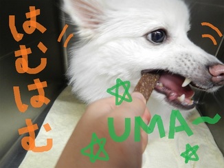 DSCN6863.jpg