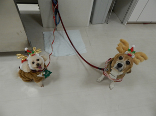 DSCN4251.jpg