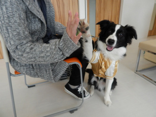 DSCN4264.jpg