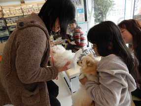 DSCN4282.jpg
