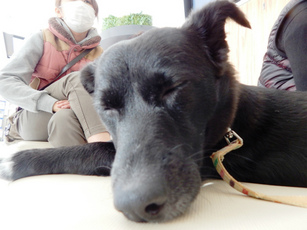 DSCN5160.jpg