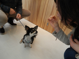 DSCN5221.jpg