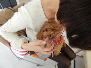 DSCN5322.jpg