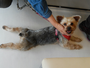 DSCN6254.jpg