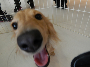 DSCN6287.jpg