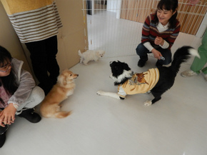 DSCN4296.jpg