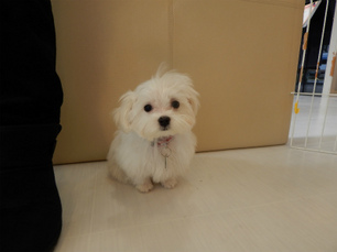 DSCN4303.jpg