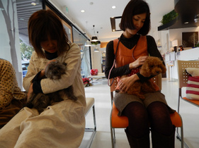 DSCN4345.jpg