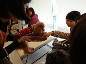DSCN4352.jpg