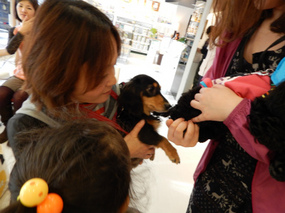 DSCN4372.jpg