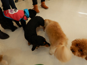 DSCN4387.jpg