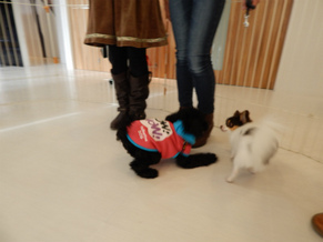 DSCN4400.jpg