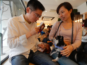 DSCN7171.jpg