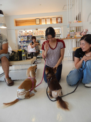 DSCN7176.jpg