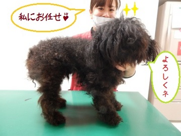 DSCN7872.jpg